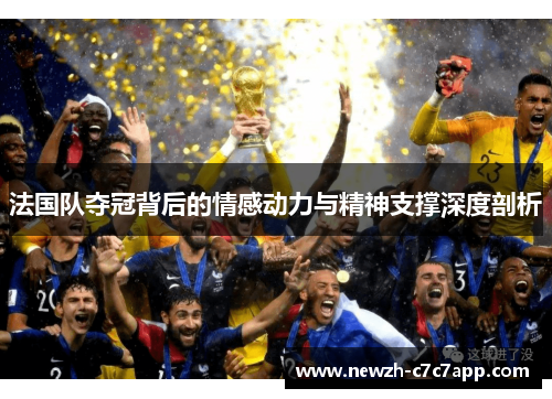 法国队夺冠背后的情感动力与精神支撑深度剖析