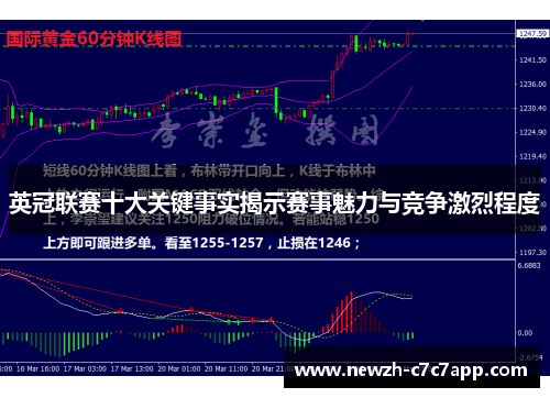 英冠联赛十大关键事实揭示赛事魅力与竞争激烈程度 英冠联赛十大关键事实揭示赛事魅力与竞争激烈程度