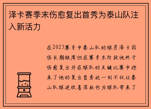 泽卡赛季末伤愈复出首秀为泰山队注入新活力