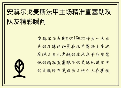 安赫尔戈麦斯法甲主场精准直塞助攻队友精彩瞬间
